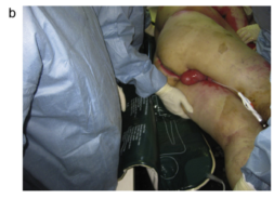 1645431700622028.png 02.png