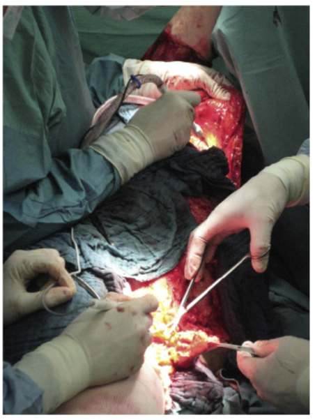 1645431828102194.png 06.png