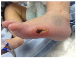 1645432455498892.png 01.png