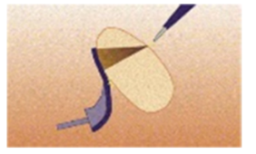 1645432658415748.png 04.png